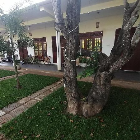 Sigiriya Green Garden Homestay Eksteriør bilde