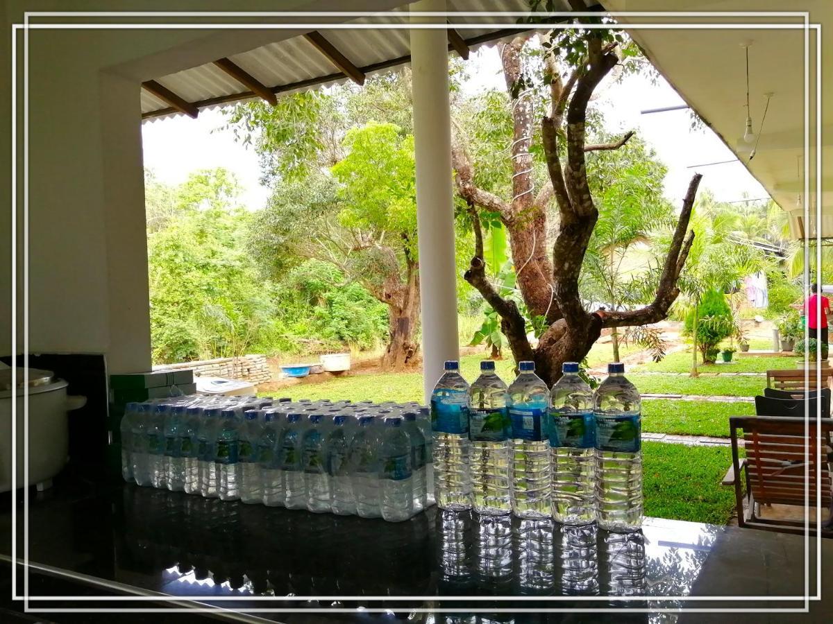 Sigiriya Green Garden Homestay Eksteriør bilde