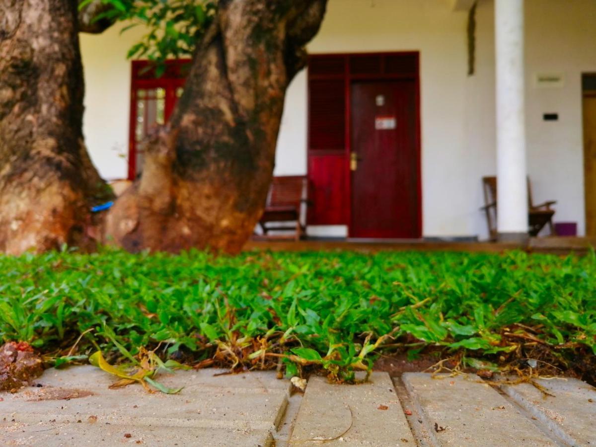 Sigiriya Green Garden Homestay Eksteriør bilde