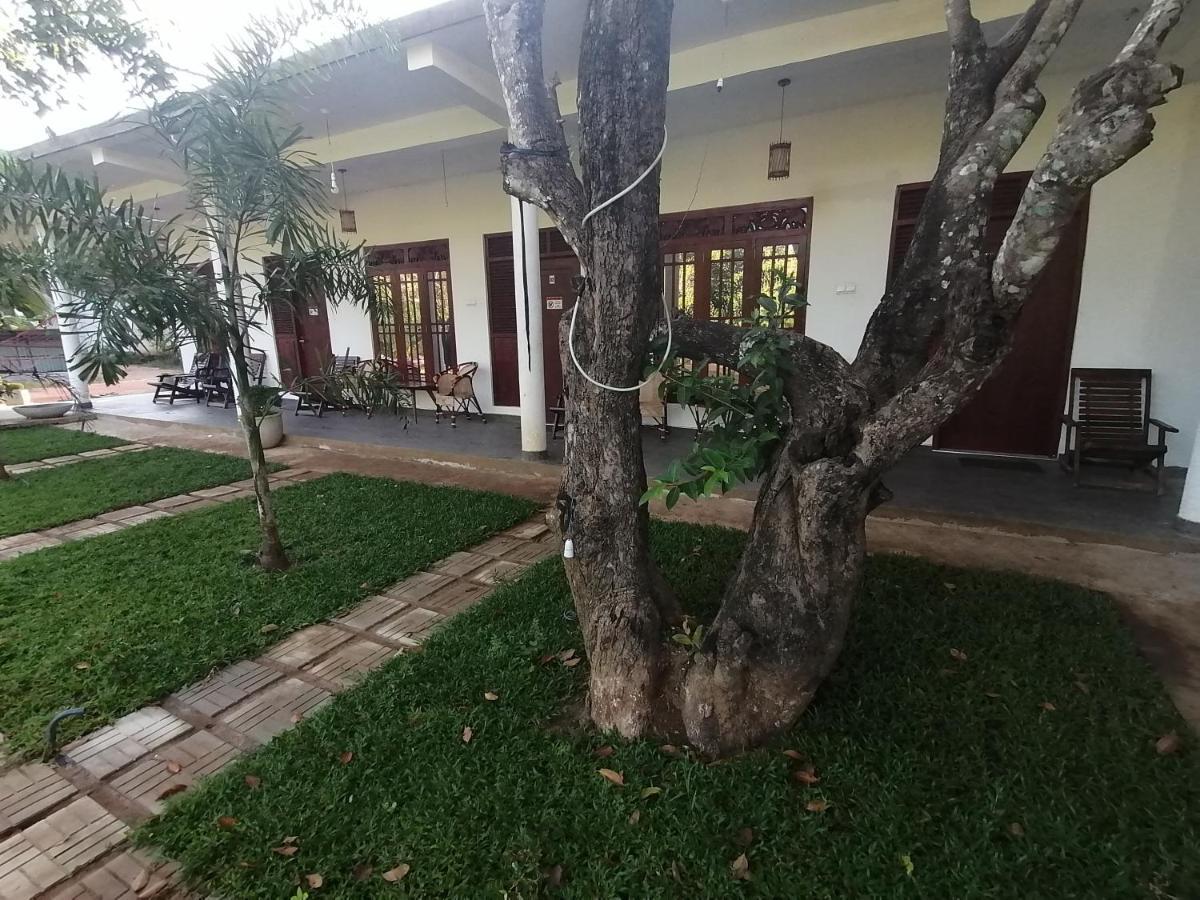 Sigiriya Green Garden Homestay Eksteriør bilde
